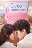 Poster for Cute Programmer