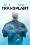 Poster for Last Chance Transplant