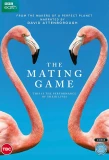 Poster for The Mating Game