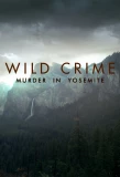 Poster for Wild Crime