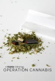 Poster for Operation Cannabis
