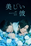 Poster for My Beautiful Man