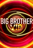 Poster for Big Brother VIP
