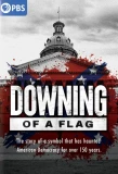 Poster for Downing of a Flag