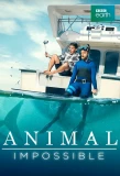Poster for Animal Impossible
