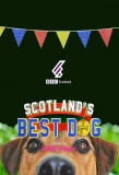 Poster for Scotland's Best Dog