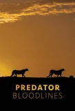 Poster for Predator Bloodlines