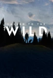 Poster for Called to the Wild