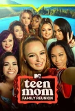 Poster for Teen Mom Family Reunion