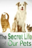 Poster for The Secret Life of Our Pets