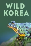 Poster for Wild Korea