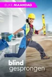 Poster for Blind Gesprongen