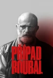 Poster for Prípad Roubal