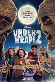 Poster for Under Wraps