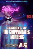 Poster for Secrets of the Chippendales Murders