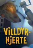 Poster for Villdyrhjerte