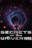 Poster for Secrets of the Universe