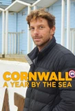 Poster for Cornwall: A Year by the Sea