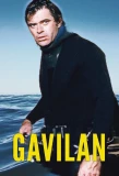 Poster for Gavilan