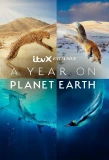 Poster for A Year on Planet Earth