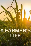 Poster for A Farmer's Life