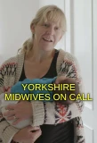 Poster for Yorkshire Midwives on Call