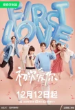 Poster for First Love
