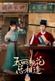Poster for The Lady in Butcher's House