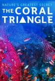 Poster for Coral Triangle
