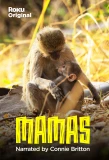 Poster for Mamas