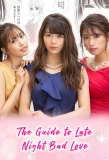 Poster for The Guide to Late Night Bad Love