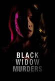 Poster for Black Widow Murders