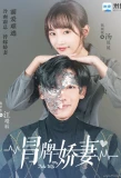 Poster for My Fake Wife