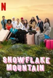 Poster for Snowflake Mountain