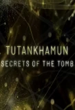 Poster for Tutankhamun: Secrets of the Tomb