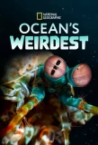 Poster for Ocean's Weirdest