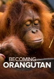 Poster for Becoming Orangutan