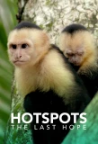 Poster for Hotspots: The Last Hope