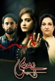 Poster for Baydardi