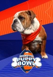 Poster for Road to Puppy Bowl