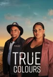 Poster for True Colours