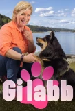 Poster for Gi labb