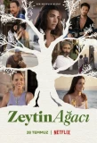 Poster for Zeytin Ağacı