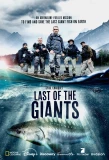 Poster for Last of the Giants: Wild Fish
