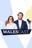 Poster for Walescast