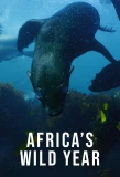 Poster for Africa's Wild Year