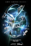 Poster for Super/Natural