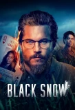 Poster for Black Snow