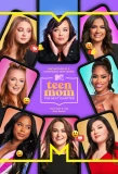 Poster for Teen Mom: The Next Chapter