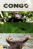 Poster for Destination Wild: Congo